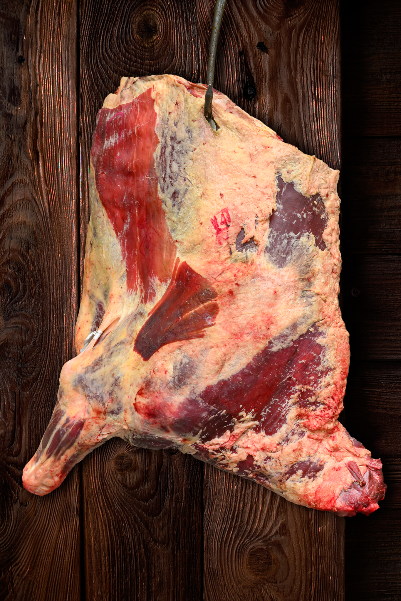 beef fore quarter (55kg/70kg) r/kg
