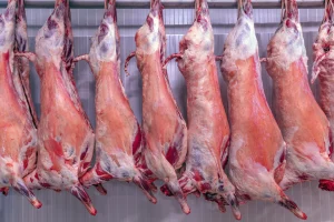 LAMB Half (10kg) or Whole(20kg) R/kg Lamb (half/whole) r/kg