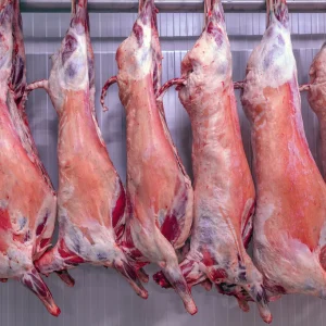 Lamb (half/whole) r/kg